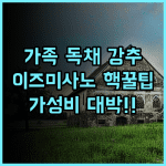 BRUCE HOUSE 이즈미사노 가족 여행 독립형 숙소 가성비 추천