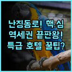 래디슨 컬렉션 하이랜드 상하이 난징 동로 중심 최고의 접근성 호텔 추천