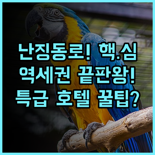 래디슨 컬렉션 하이랜드 상하이 난징 동로 중심 최고의 접근성 호텔 추천
