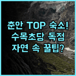Shuimu Caotang Homestay 춘안 지역 자연 속에서 힐링할 수 있는 최고의 고즈넉한 숙소 추천