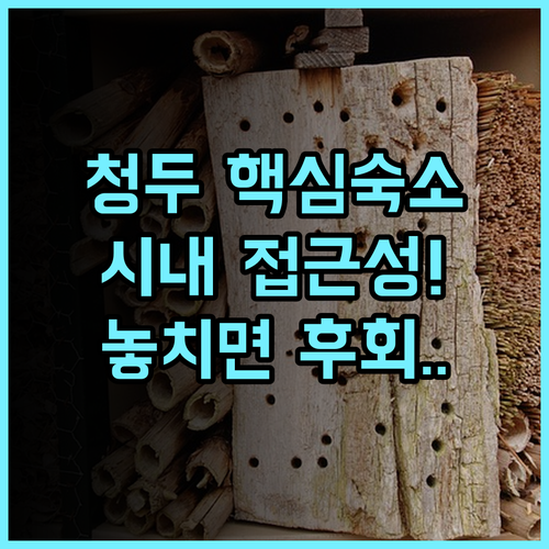 청두 주젠 추이웨이 호텔 칭양구 시내 접근성 최고의 완벽 후기 추천