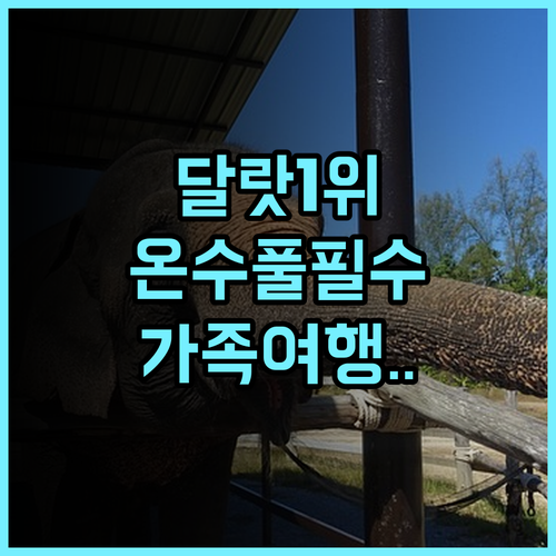 아나 만다라 빌라 달랏 리조트 & 스파 빌라 1위 온수 수영장 완비 가족 여행 추천