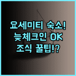 요세미티 모텔 중화 지점 타이중 북구 늦은 체크인과 조식이 완벽한 후기