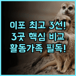 더 헤이븐 올 스위트 리조트 이포 가족 리조트 3곳 비교 활동적인 가족을 위한 최고의 선택 추천