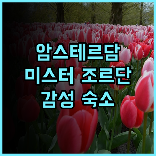 미스터 조르단 호텔 추천 후기 암스테르담 감성 숙소 놓치면 후회 해시태그 미스터조르단 암스테르담숙소 감성호텔