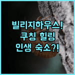 더 빌리지 하우스 조용한 쿠칭 전원 지역에서 즐긴 완벽한 힐링 후기
