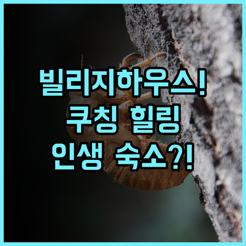 더 빌리지 하우스 조용한 쿠칭 전원 지역에서 즐긴 완벽한 힐링 후기