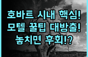 마틴 캐쉬 모텔 호바트 시내 접근성 좋은 실속파 모텔 추천