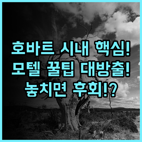 마틴 캐쉬 모텔 호바트 시내 접근성 좋은 실속파 모텔 추천