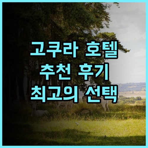 리가 로얄 호텔 고쿠라 추천 후기 교통 편리, 최고의 선택 고쿠라호텔 후쿠오카여행 가성비호텔