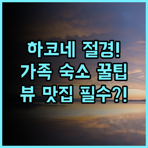 하코네 고와키엔 덴유 하코네 절경 뷰 맛집으로 유명한 가족 숙소 추천