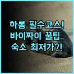 비엣 낫 하롱 호텔 바이 차이 하롱 여행 필수 코스 바이 짜이 해변 근처 숙소 추천