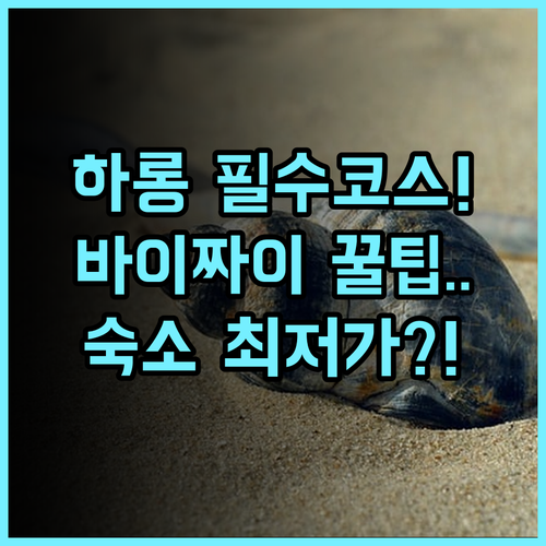 비엣 낫 하롱 호텔 바이 차이 하롱 여행 필수 코스 바이 짜이 해변 근처 숙소 추천