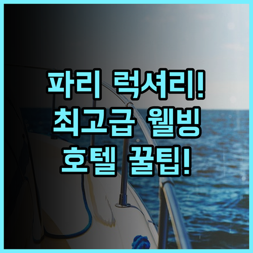 만다린 오리엔탈 파리 루브르 인근 최고급 시설 웰빙 럭셔리 호텔 후기