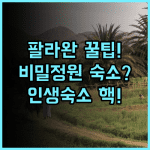 A Touch of Pink Secret Garden Resort 팔라완 푸에르토 프린세사 자연 친화적 프라이빗 숙소 후기