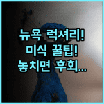 더 피에르 어 타지 호텔 뉴욕 센트럴 파크 미식가를 위한 고전적 럭셔리 후기