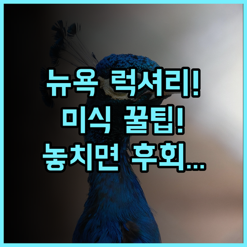 더 피에르 어 타지 호텔 뉴욕 센트럴 파크 미식가를 위한 고전적 럭셔리 후기