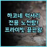 고라 하나오기 하코네 전용 야외 온천을 갖춘 럭셔리 료칸 추천