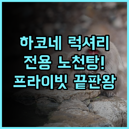 고라 하나오기 하코네 전용 야외 온천을 갖춘 럭셔리 료칸 추천