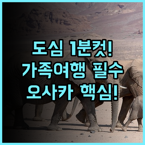 호텔 리솔 트리니티 오사카 도심 접근성 최고의 가족여행 추천