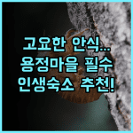 루시먼 리트리트 항저우 용정 마을에서 고요한 자연 힐링을 선사하는 숙소 추천