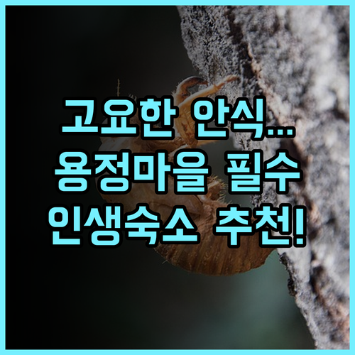 루시먼 리트리트 항저우 용정 마을에서 고요한 자연 힐링을 선사하는 숙소 추천