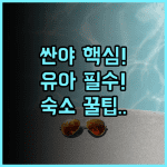 다동하이 호텔 어린 자녀 동반 싼야 가족여행 유아 친화 숙소 추천