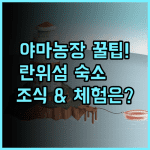 Yama Sweet Potato Garden 란위섬 문화 체험과 조식을 원한다면 최고의 가족 숙소 추천