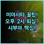 시퀀스 미야시타 파크/ 시부야 오후 2시 체크아웃으로 즐기는 시부야 여행 완벽 후기