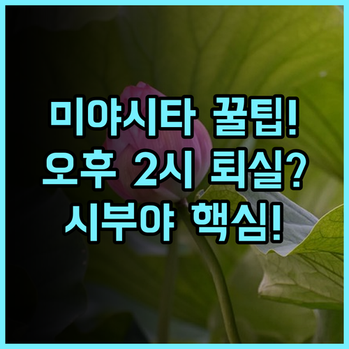 시퀀스 미야시타 파크/ 시부야 오후 2시 체크아웃으로 즐기는 시부야 여행 완벽 후기