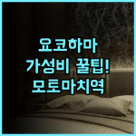 호텔 라이브맥스 요코하마 모토마치 에키마에 모토마치역 도보 5분 요코하마 가성비 호텔 추천
