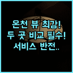 미쿠마 호텔 히타 미쿠마강 료칸 온천 뷰와 서비스 두 곳 비교 분석 후기