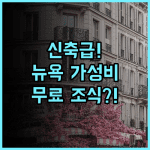 아비드 호텔 브루클린 다이커 하이츠 후기 깨끗한 신축 시설과 무료 조식 가성비 숙소 추천