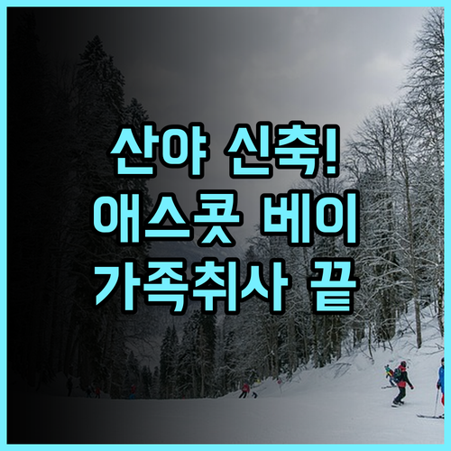 애스콧 다둥하이 베이 산야 후기 가족 여행을 위한 취사 가능 신축 숙소 추천