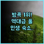 137 필러스 스위츠 방콕 후기 루프탑 인피니티 풀이 매력적인 방콕 럭셔리 숙소 추천