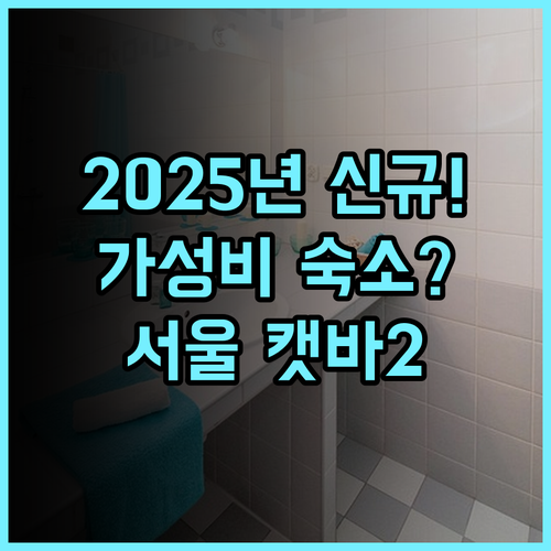 캣 바 서울 2 호텔 2025년 신규 오픈 가성비 아파트먼트형 숙소 추천 후기