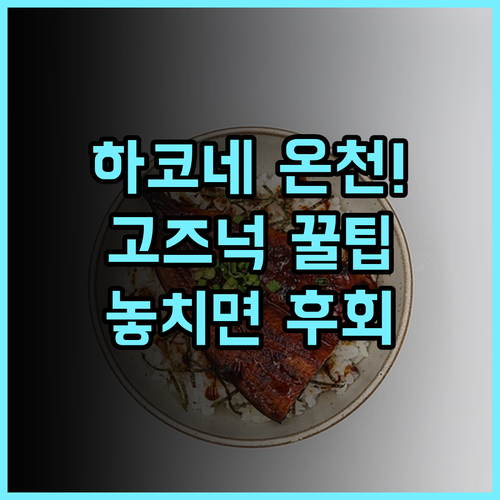 하코네 시치푸쿠소 전통 료칸에서 즐기는 고즈넉한 온천 후기