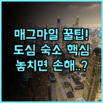 워릭 앨러턴 호텔 시카고 매그니피션트 마일 쇼핑을 위한 최적의 도심 숙소 추천