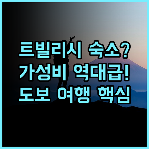 이비스 버짓 트빌리시 센터 트빌리시 도보 여행자에게 최고의 가성비 호텔 추천 후기