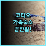 시쉘 리조트 코타오 사이리 해변 중심가 위치 최고의 가족 여행 숙소 추천