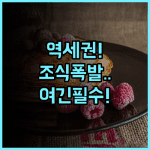 베스트 웨스턴 플러스 호텔 취르허호프 추천 조식이 풍성한 취리히 중앙역 근처 숙소 후기