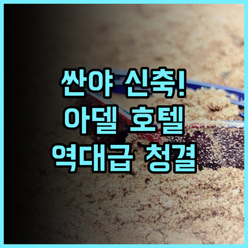 싼야 아델 셀렉션 호텔 추천 2024년 신축 시설과 청결함이 돋보이는 최고의 선택