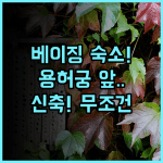 준허 호텔 (용허궁 난뤄구샹 지점) 베이징 용허궁 난뤄구샹 신축 현대적 숙소 추천