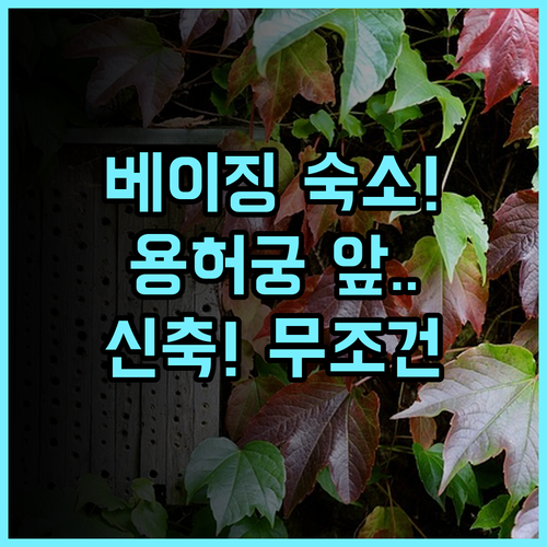 준허 호텔 (용허궁 난뤄구샹 지점) 베이징 용허궁 난뤄구샹 신축 현대적 숙소 추천
