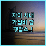 백 홈 호텔 치아이 시티 추천 후기 반려동물 동반 가능한 자이 시내 가성비 숙소의 매력