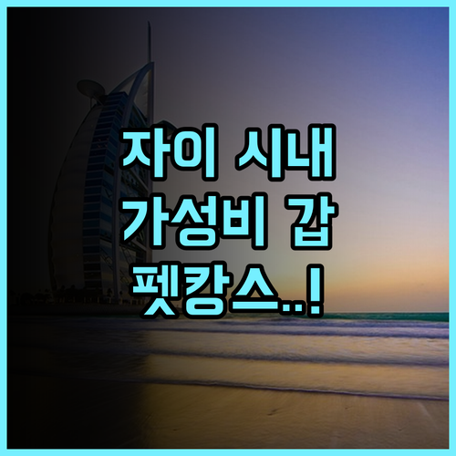 백 홈 호텔 치아이 시티 추천 후기 반려동물 동반 가능한 자이 시내 가성비 숙소의 매력
