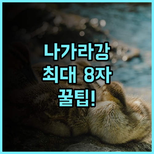 기후 미야코 호텔 나가라가와 리버뷰와 여유로운 체크아웃 완벽 후기