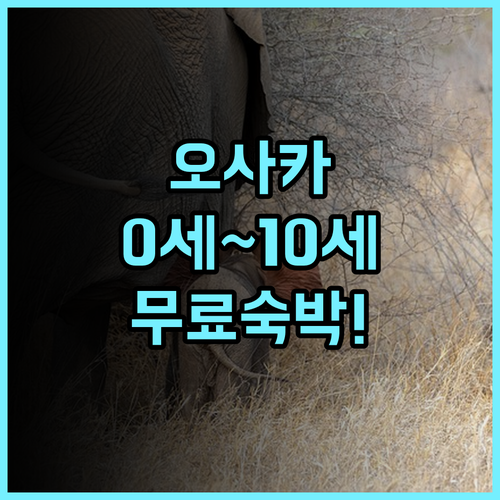I Cube Nipponbashi East 0세부터 10세까지 무료 실속 가족 아파트먼트형 숙소 추천