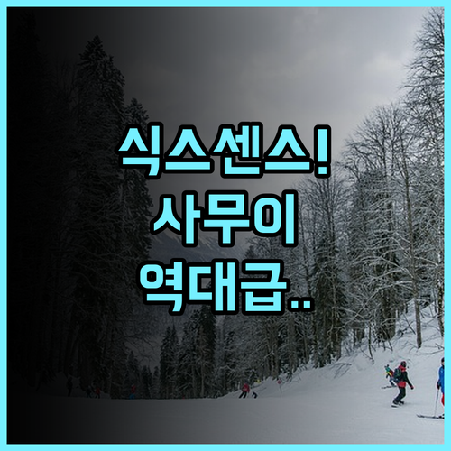 식스센스 사무이 후기! 코사무이 자연 친화적 럭셔리 리조트 추천
