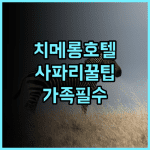 치메롱 호텔 광저우 창룽 야생 동물원 후기 사파리와 함께하는 특별한 가족 여행 숙소 추천